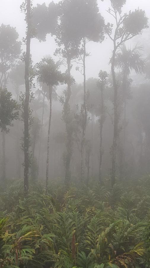 Tree Blanche Hotel Munnar Bagian luar foto