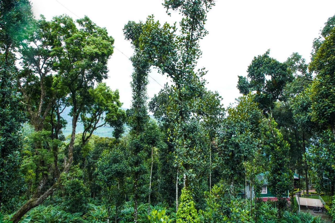 Tree Blanche Hotel Munnar Bagian luar foto