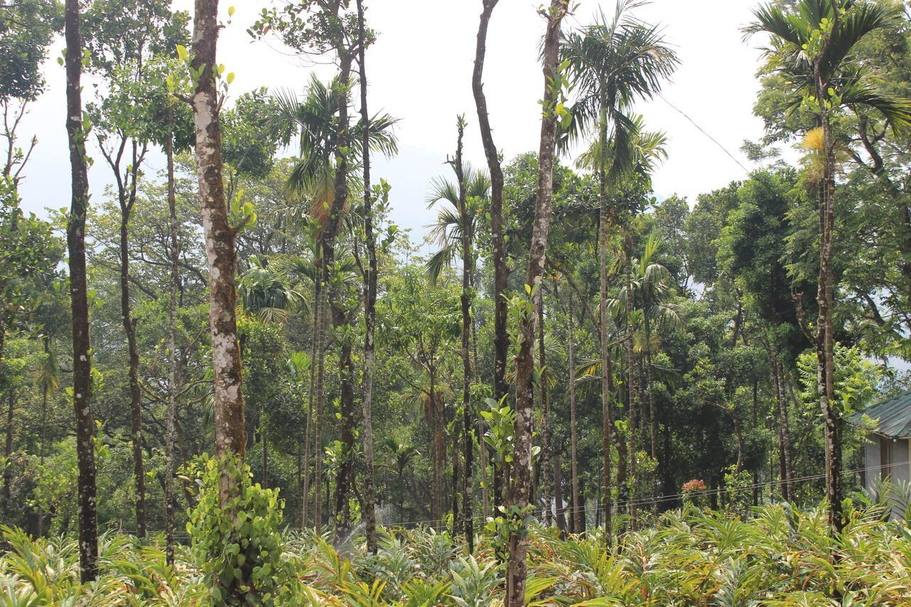 Tree Blanche Hotel Munnar Bagian luar foto