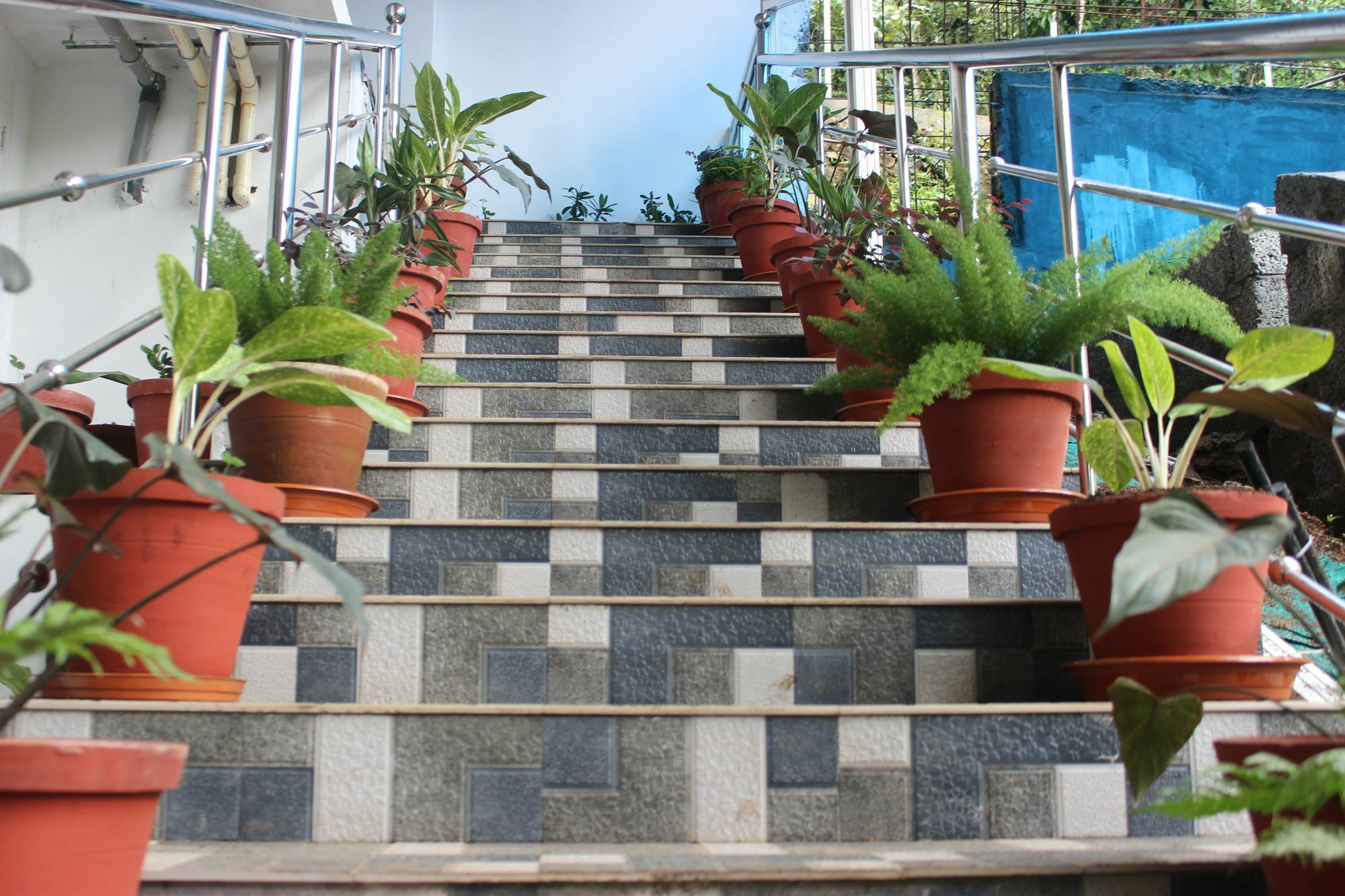 Tree Blanche Hotel Munnar Bagian luar foto